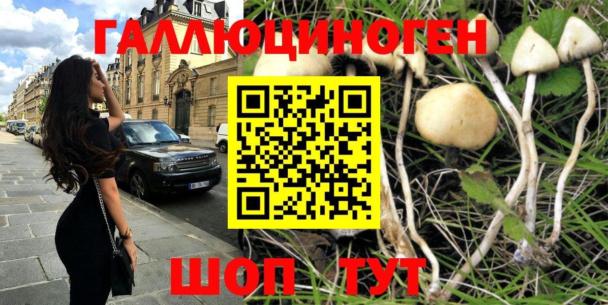 Псилоцибиновые грибы мицелий Балаково